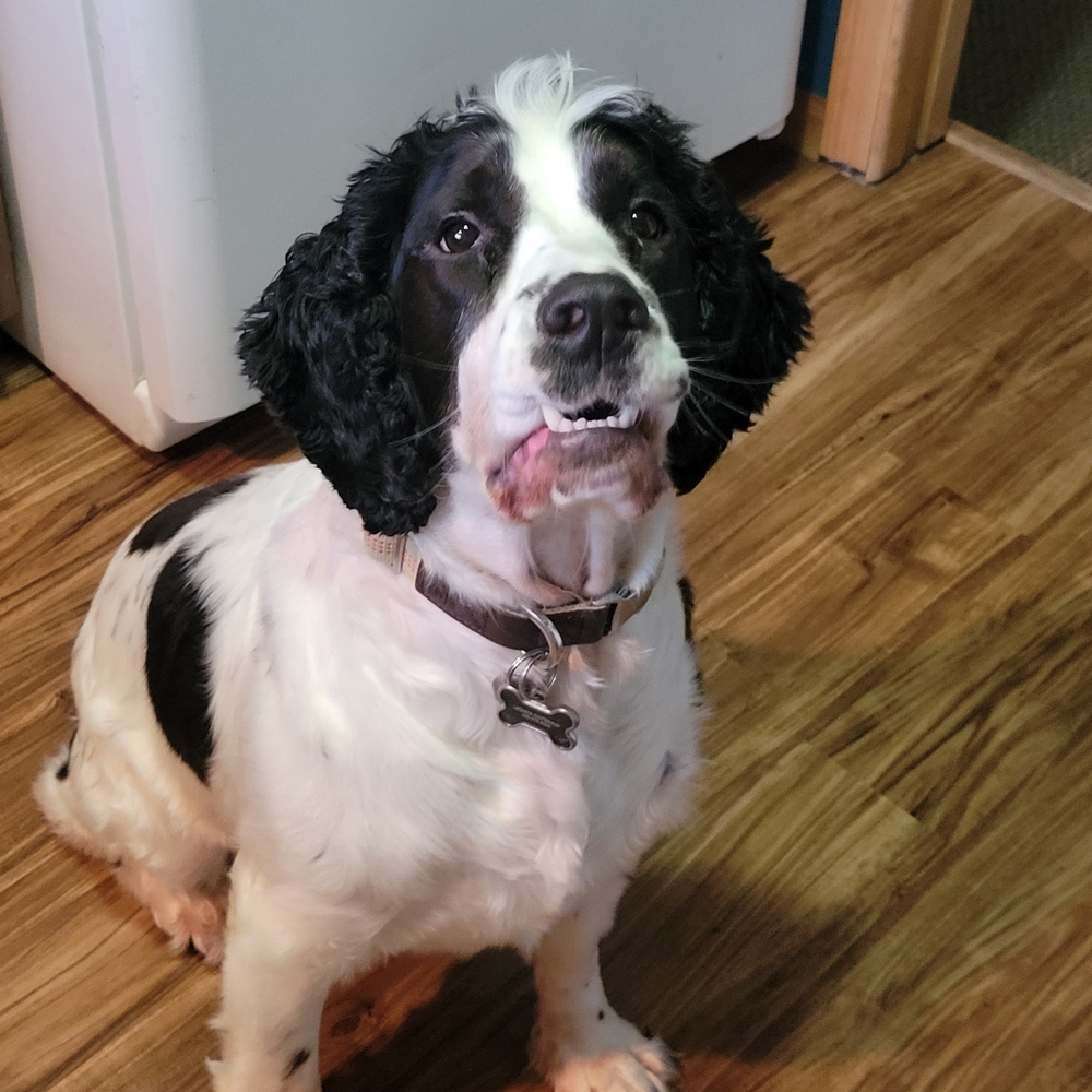 Meet your Posher, Leonda